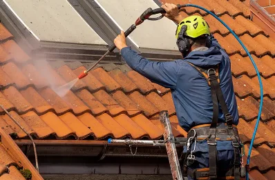Démoussage et hydrofuge de toiture à Luzinay